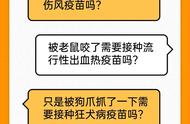 动物伤害处理及疫苗接种策略详解