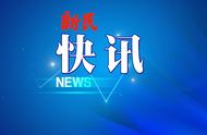 上海动物园新宠海狸鼠亮相，鼠年生肖文化盛宴开演