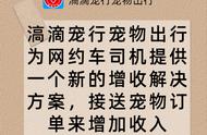 一站式宠物出行解决方案，滈滴宠行为司机打造全新订单模式