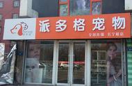 柳州宠物店装修攻略：打造特色店铺，提升客户体验