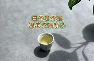 白茶新茶还是老茶？你可能一直都喝错了