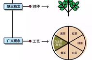 深度解析：乌龙茶的魅力与识别方法