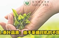 探索台湾高山茶春茶与冬茶的独特之处！#茶叶知识