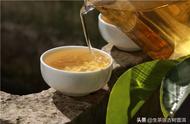 一文读懂普洱茶的9大热点问题：详细解读普洱茶