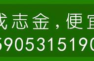 深度剖析：同为正宗西湖龙井，价格差距究竟在哪里？