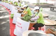 南京市雨花茶手工炒制大赛在钟山风景区精彩亮相