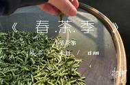 白茶收藏秘籍：散茶与饼茶的优缺点大揭秘！