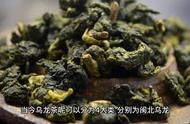 大红袍是乌龙茶吗？探索青茶家族的成员