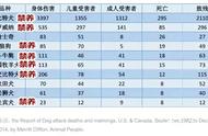 深圳金毛咬狗事件背后：探讨“大暖男”金毛的咬狗习惯