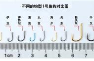 钓鱼技巧全解析：老钓友教你如何选择合适的鱼钩