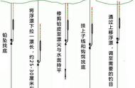 钓鱼调漂步骤全解析：图文并茂