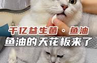 #萌宠好物#鱼油#猫用品：宠物鱼油的巅峰之作来了！