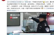 大叔意外发现流浪猫实为豹猫，引发关注