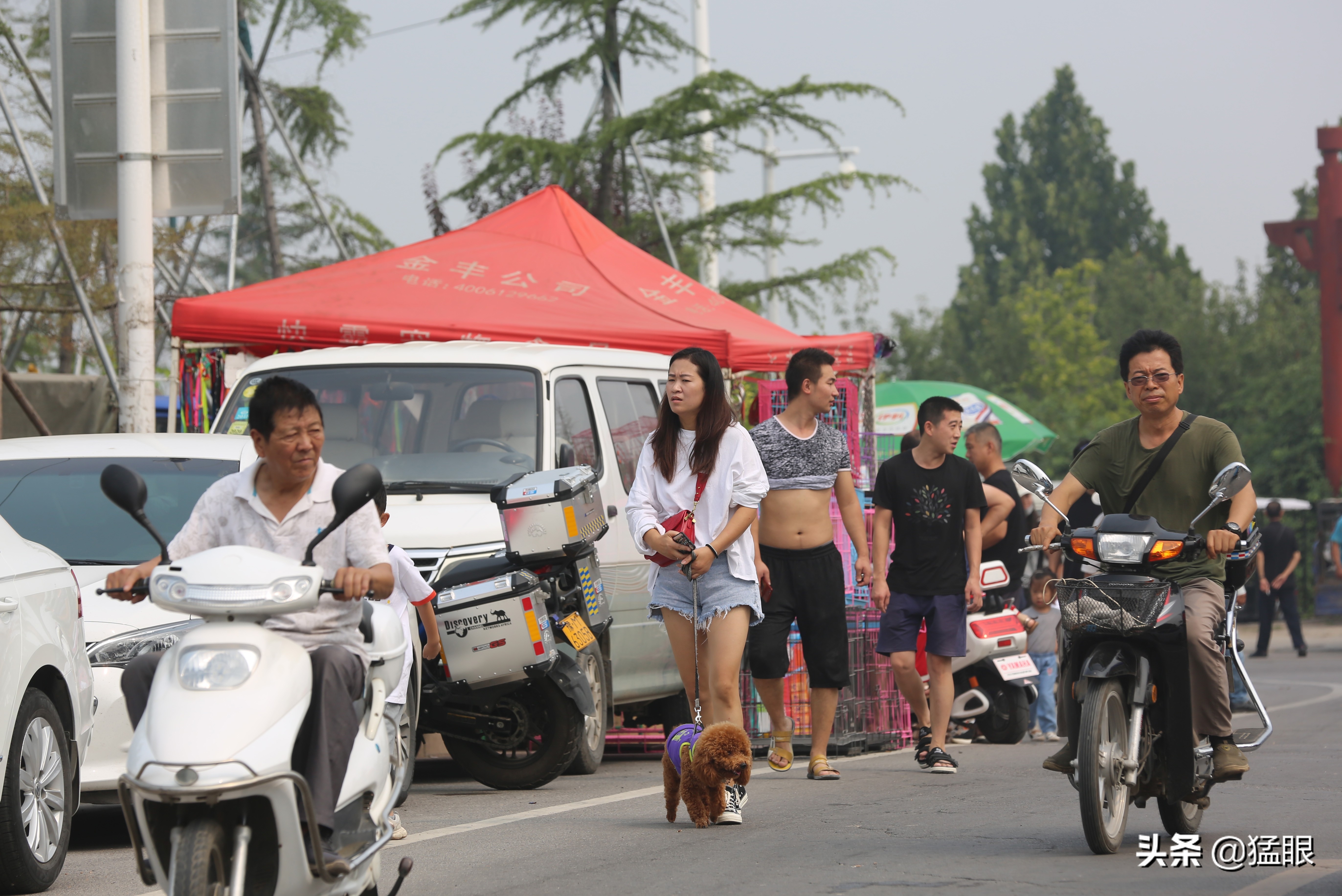 这条街大约长500米，每逢周末有狗市开张，狗市形成时间不详