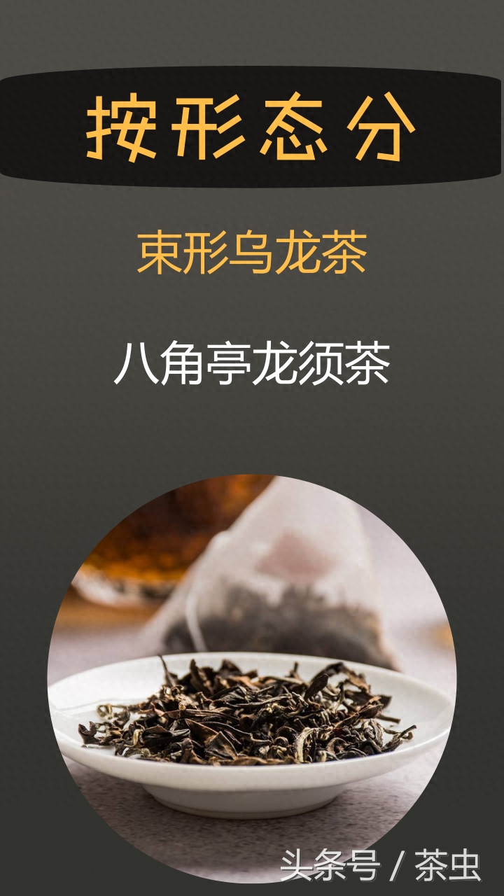 乌龙茶究竟有哪些？